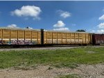 BTTX 880163